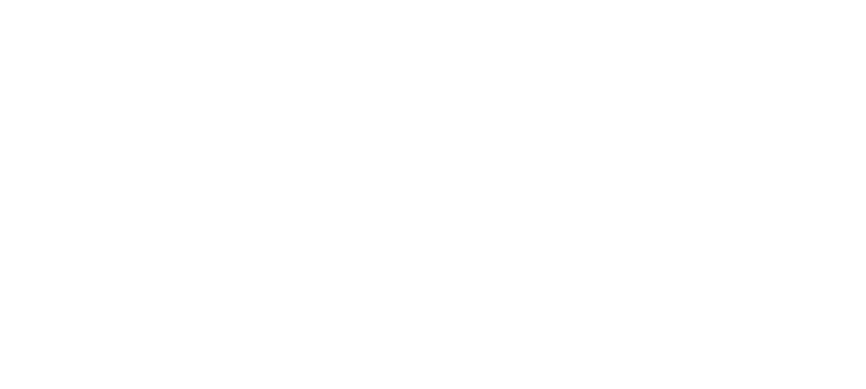 JNW Lanka Tours Logo